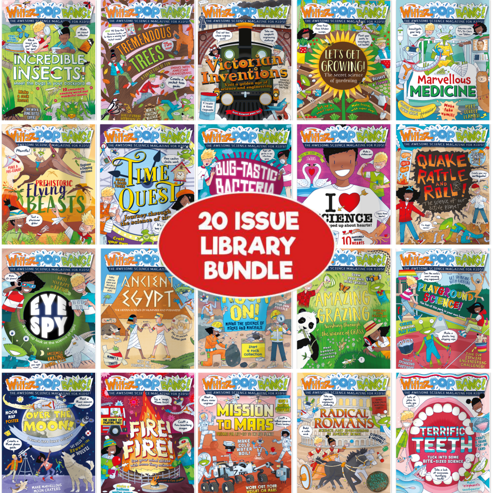 20-issue library bundle image 1