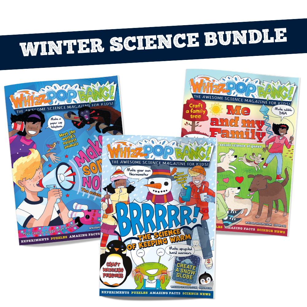 Winter science bundle image 1