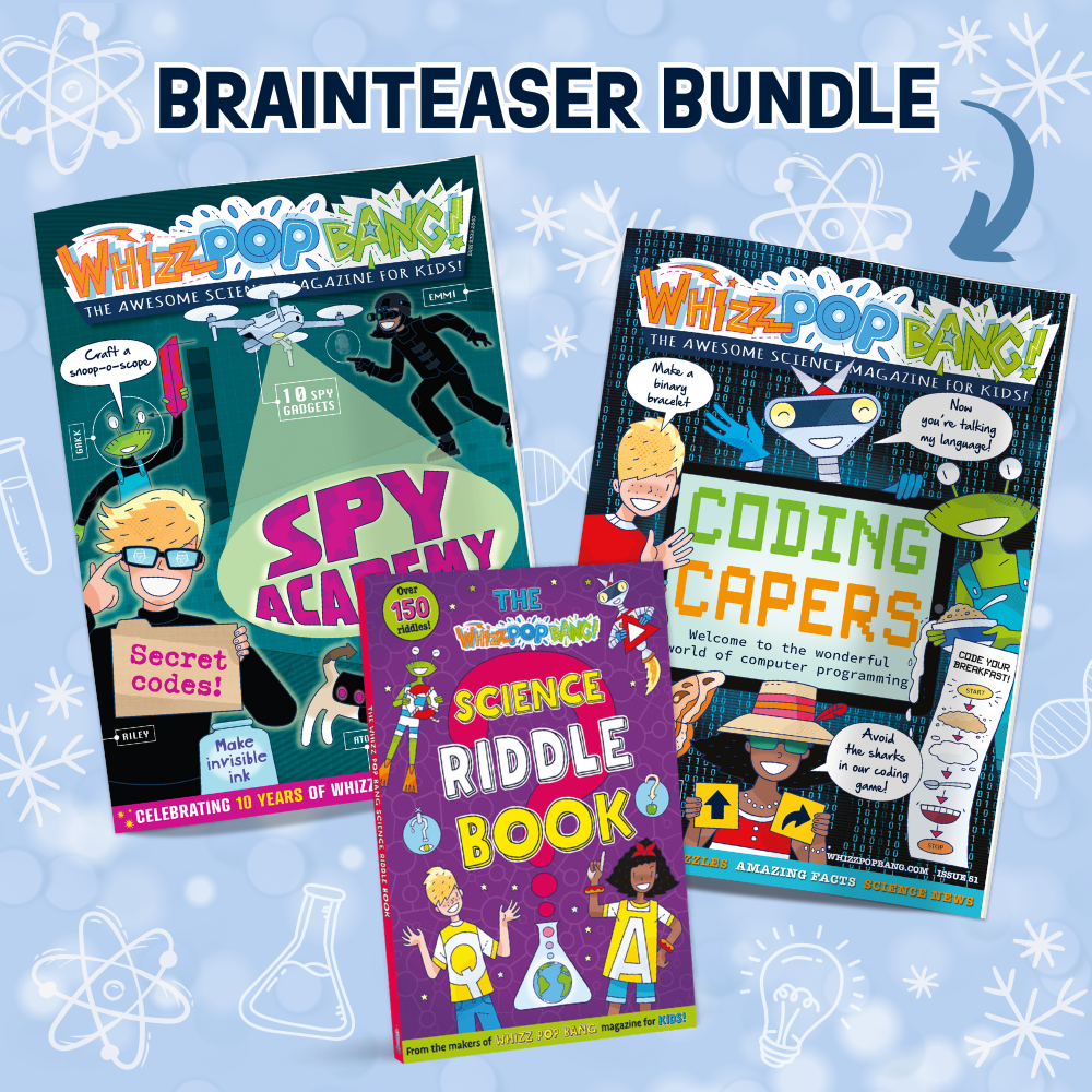 Brainteaser bundle image 1