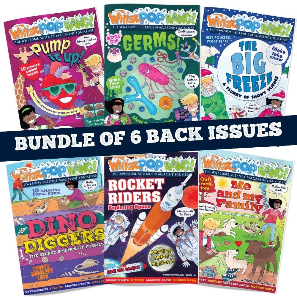 Bundle of 6 back issues image 1