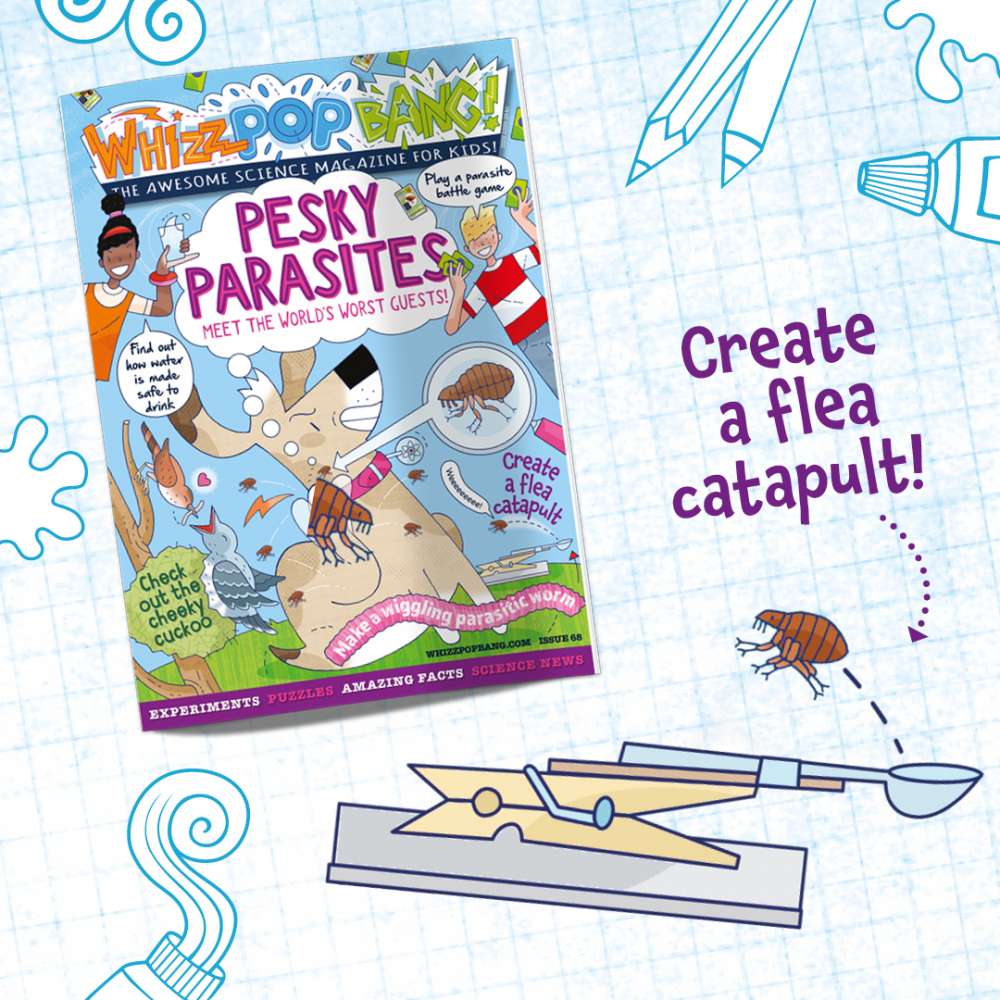 Issue 68 image 5