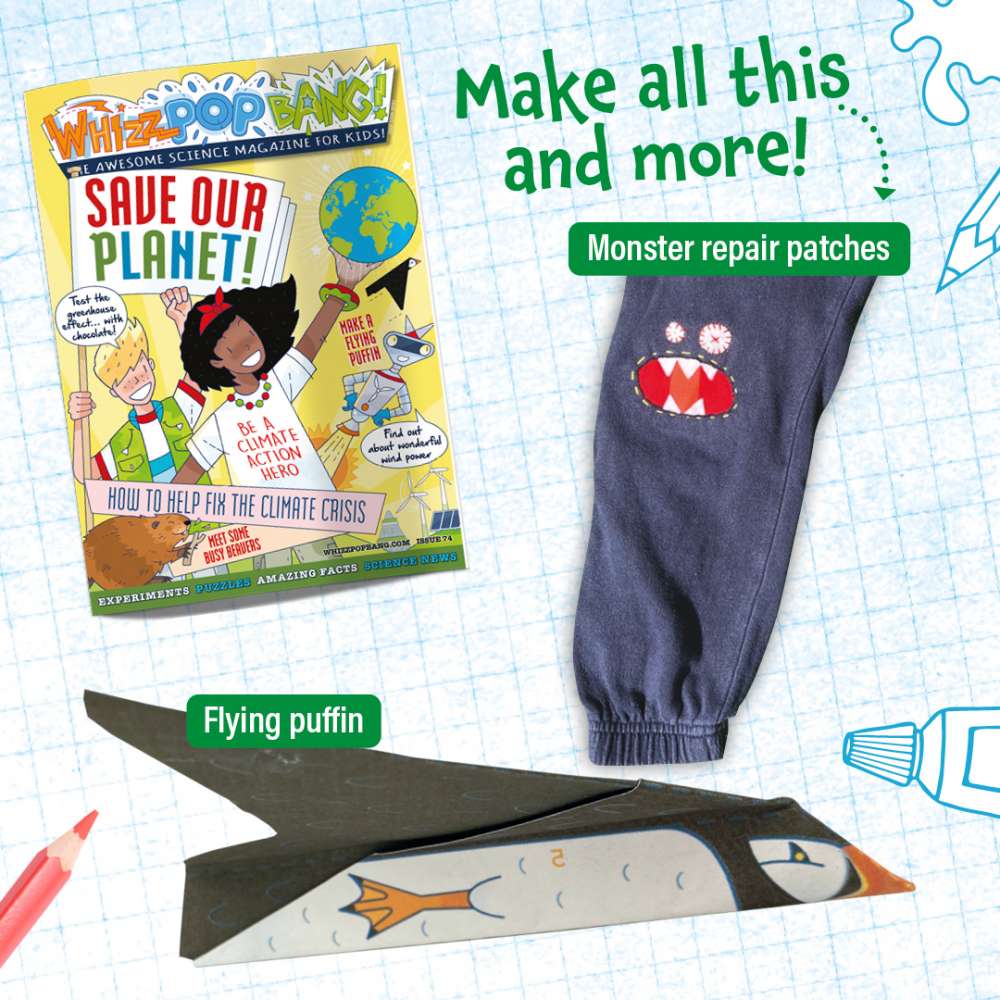 Issue 74 image 5