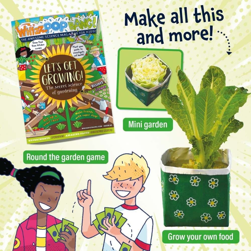 Issue 83 image 6