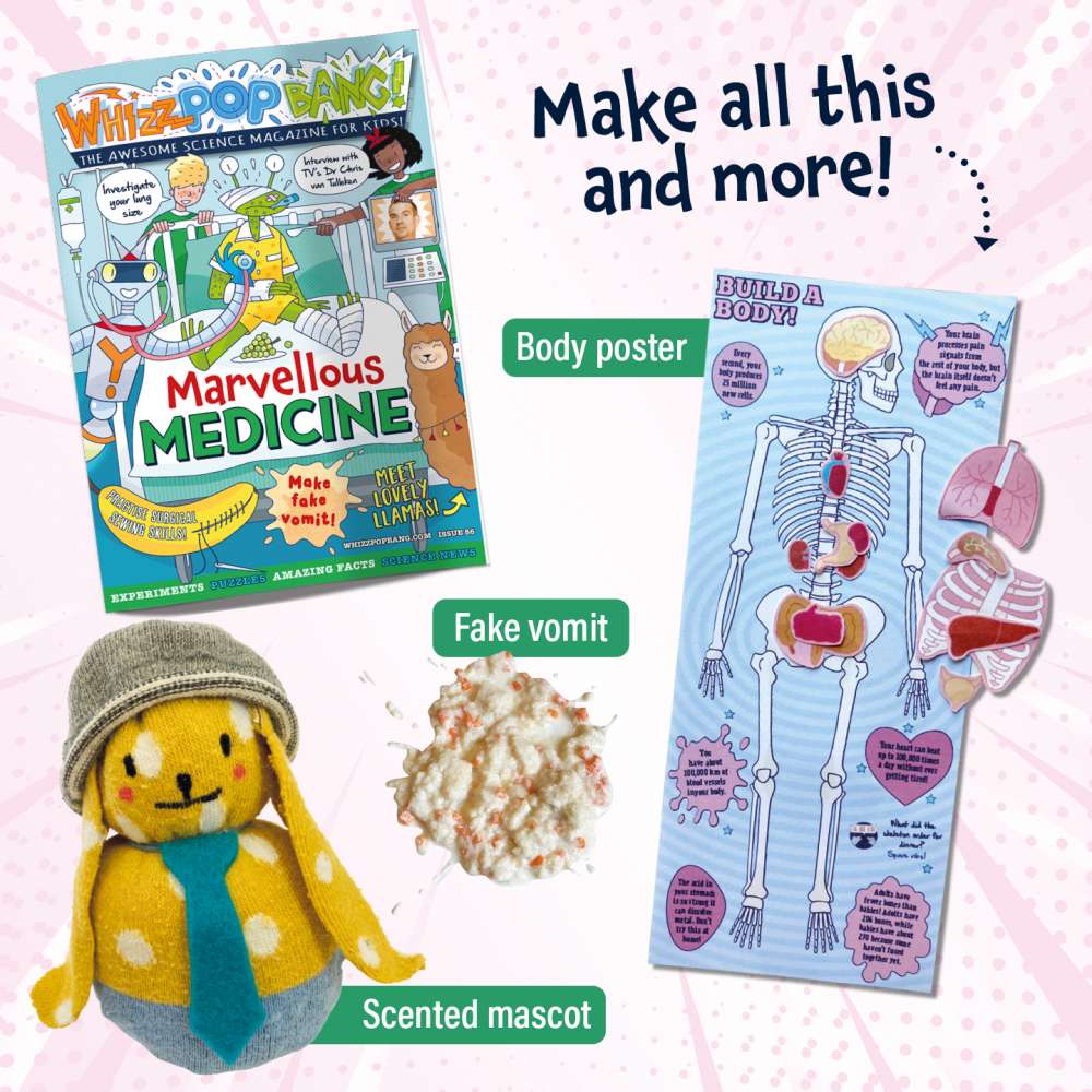 Issue 86 image 5