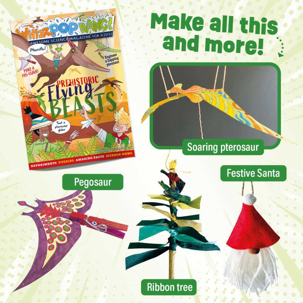 Issue 88 image 5
