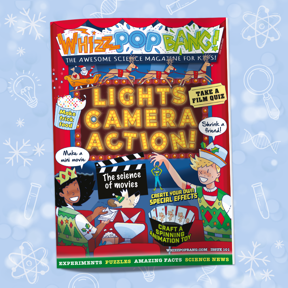 Christmas Combo image 3