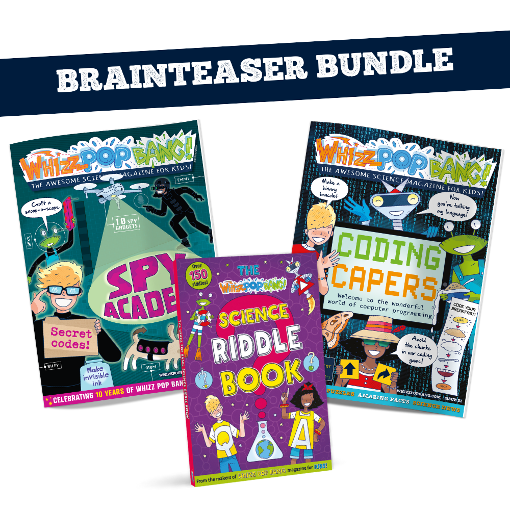 Brainteaser bundle image 1
