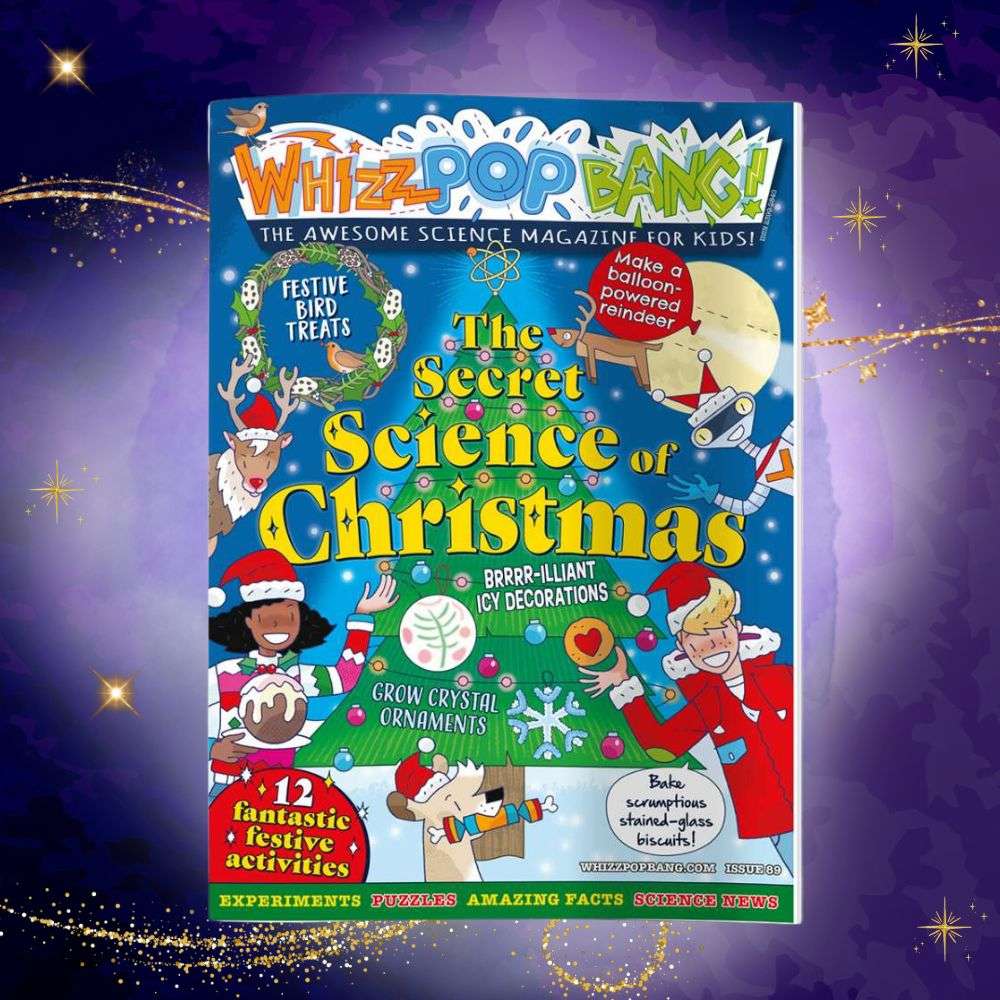 Festive Science Bundle image 4