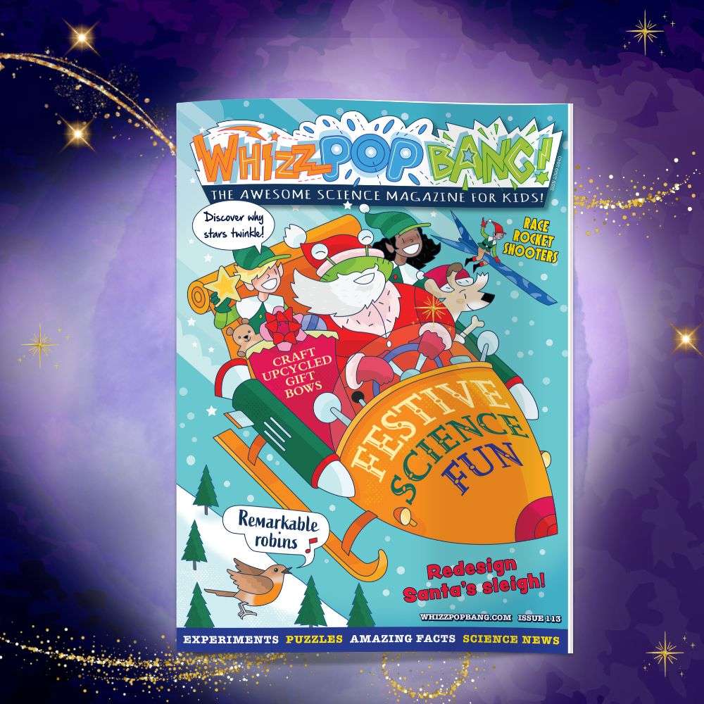Winter Fun Bundle image 2