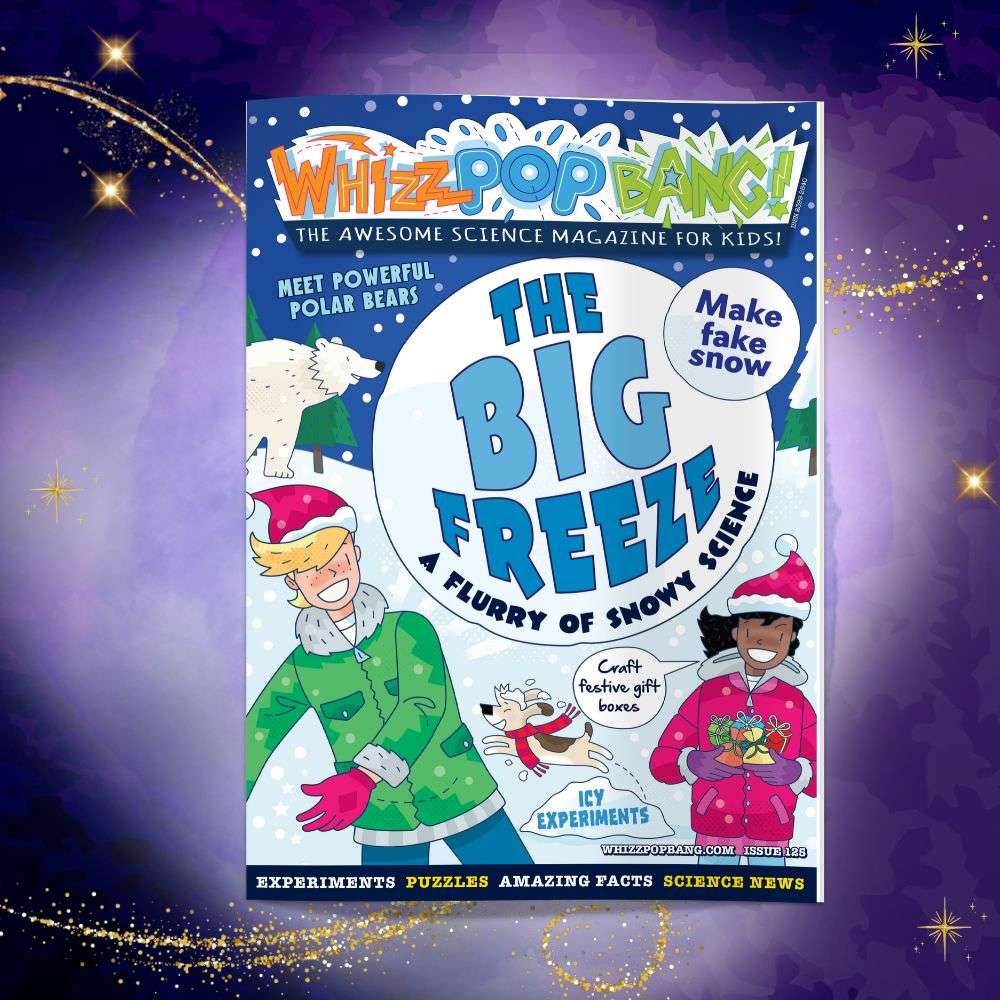 Winter Fun Bundle image 3