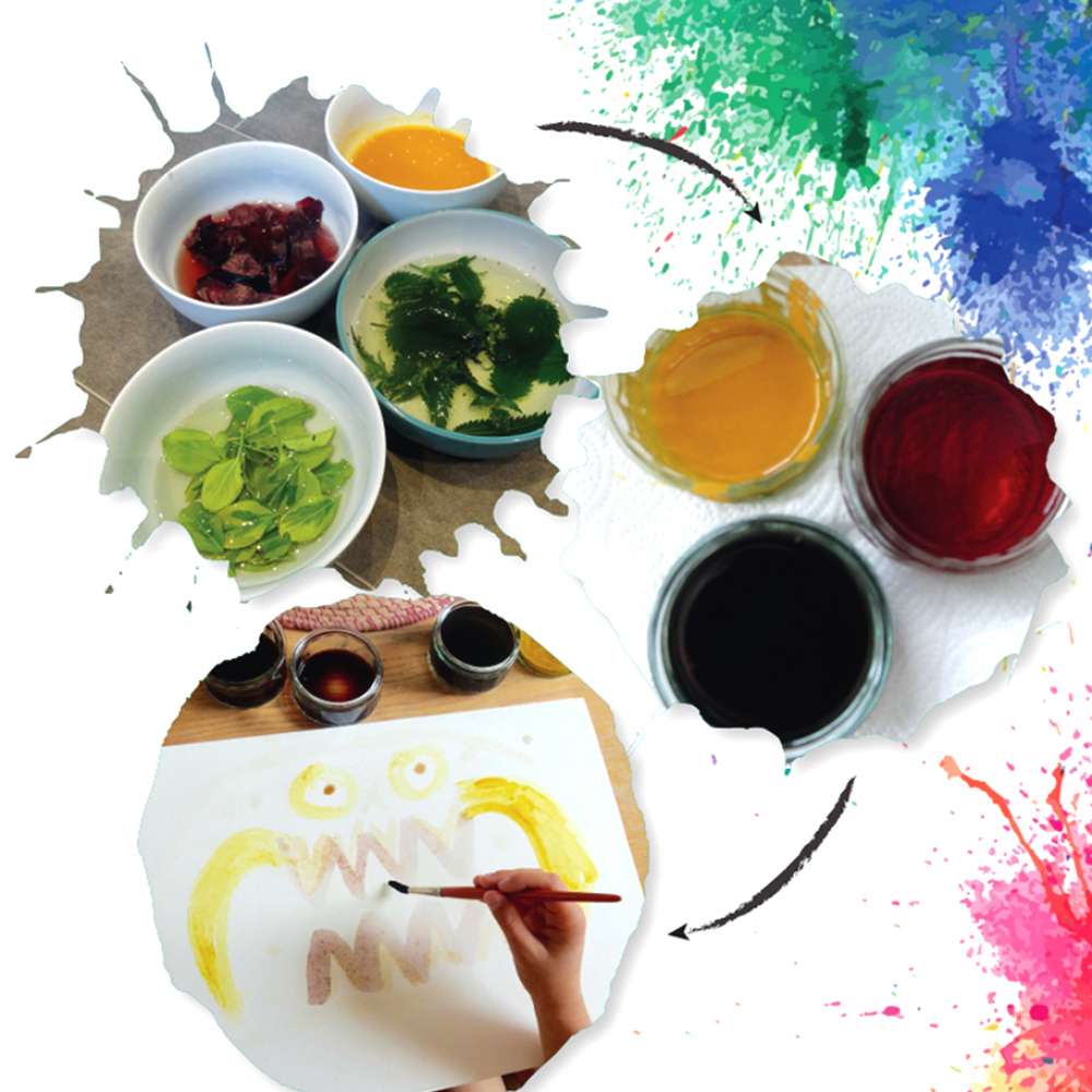 Science for the senses bundle image 6