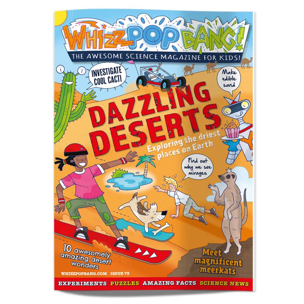 Curious Science Bundle image 3