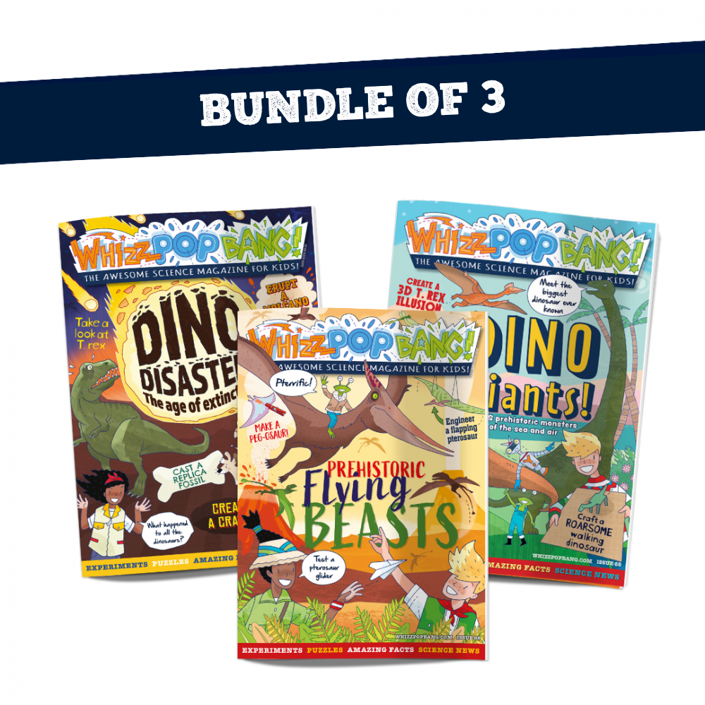 Bundle of 3 back issues image 1
