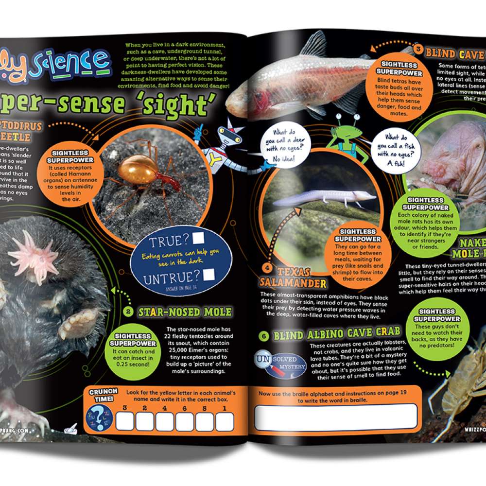 Human body science bundle image 6