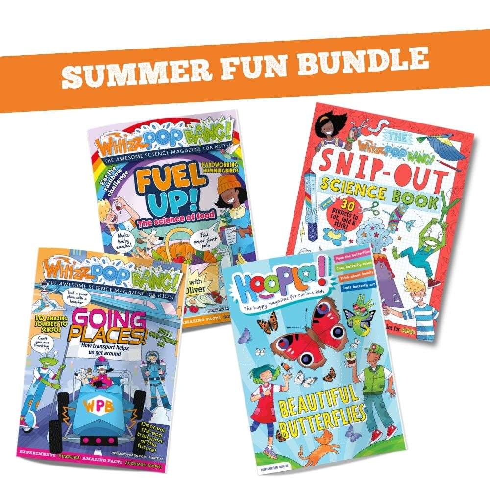 Summer Holiday Bundle image 1