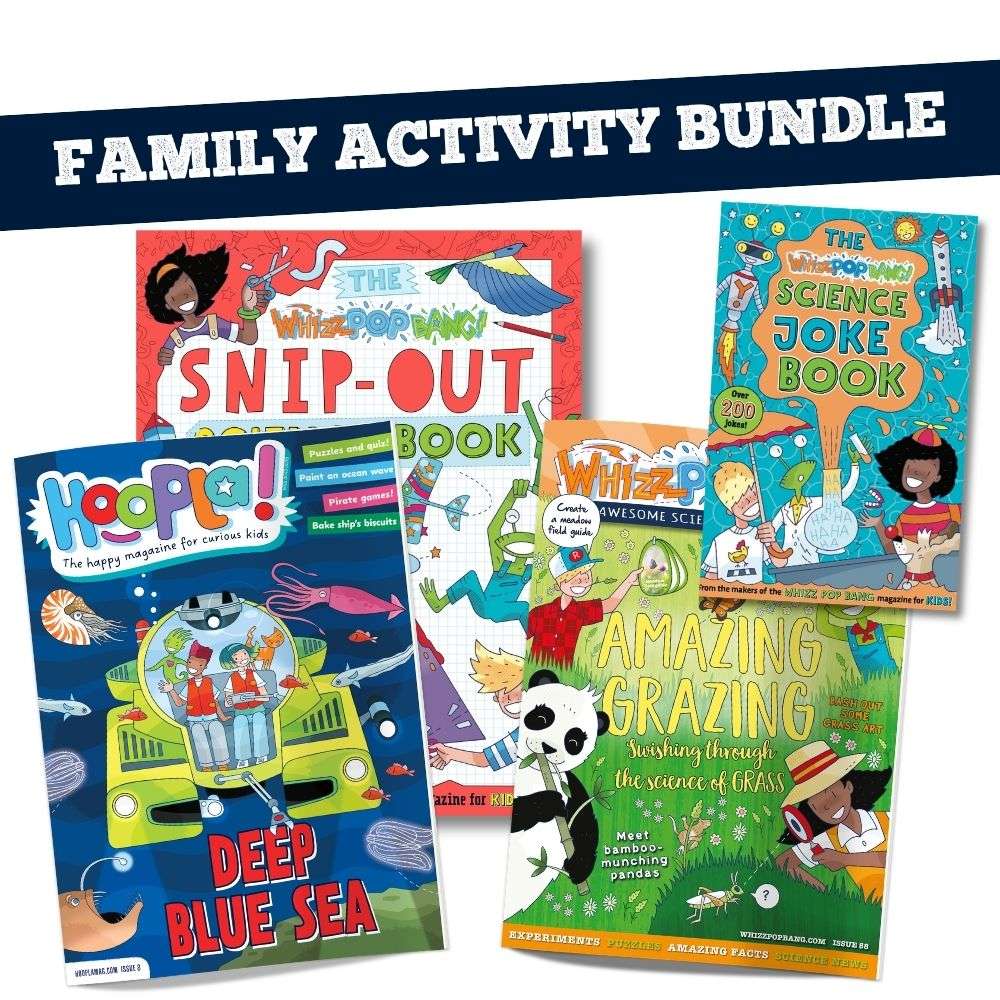 Family activity bundle image 1