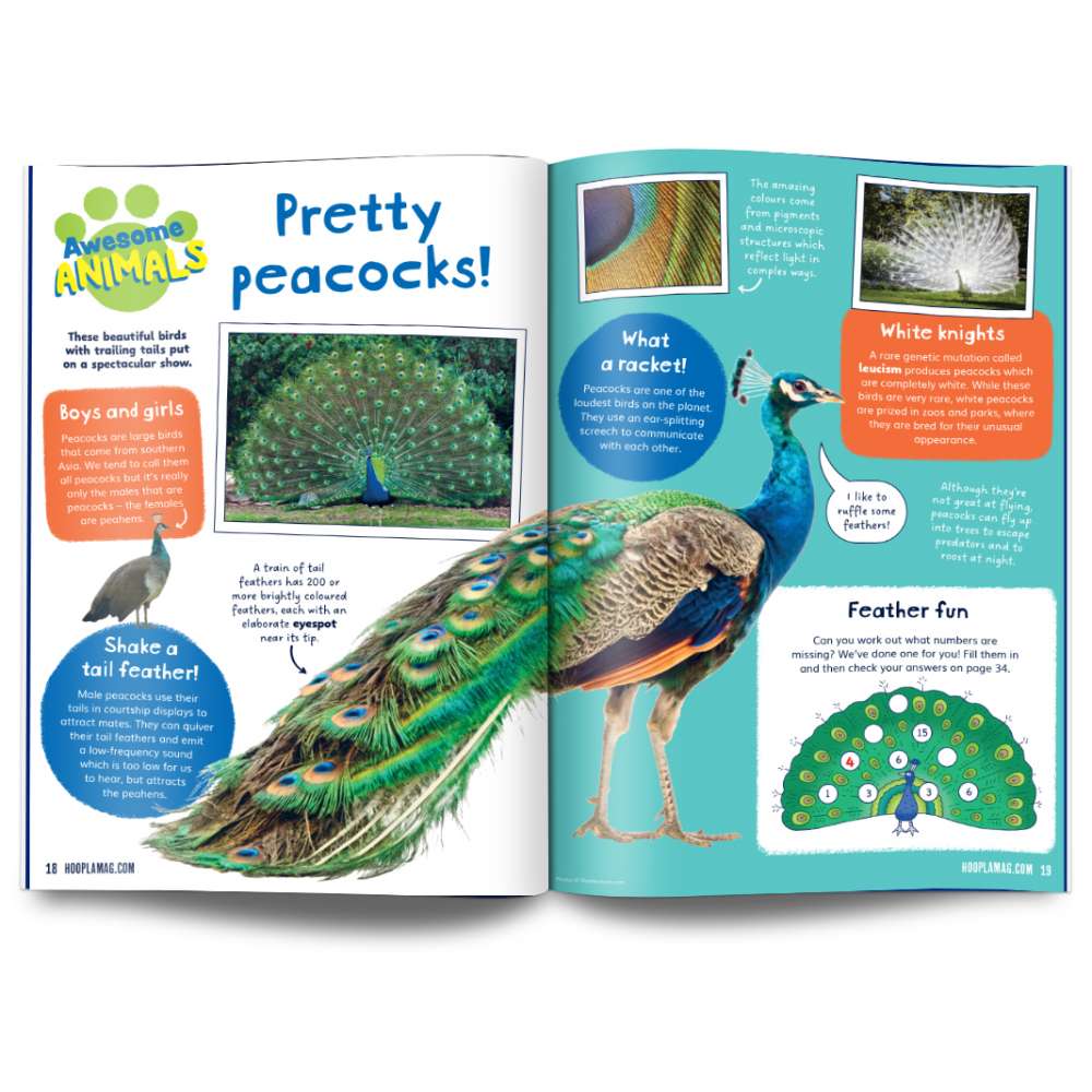 Hoopla Issue 27: ART ADVENTURE image 5
