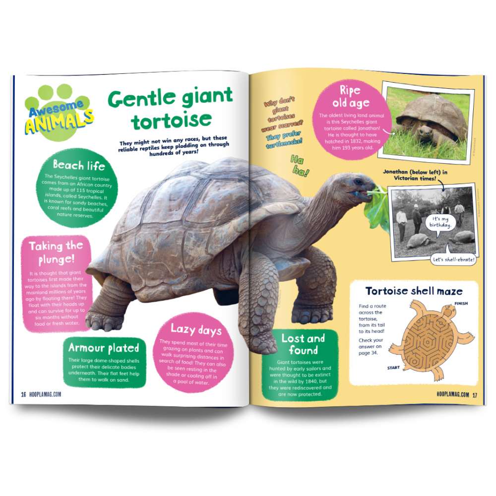 Hoopla Issue 11: TICK TOCK! image 4