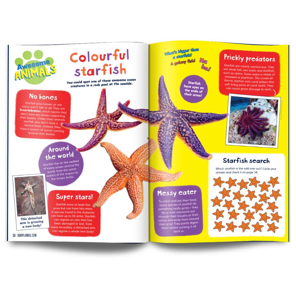 Hoopla Issue 13: HOORAY FOR HOLIDAYS image 5