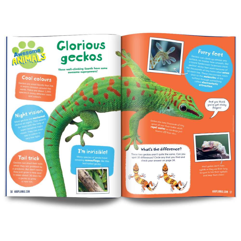 Hoopla Issue 17: KAPOW! image 4