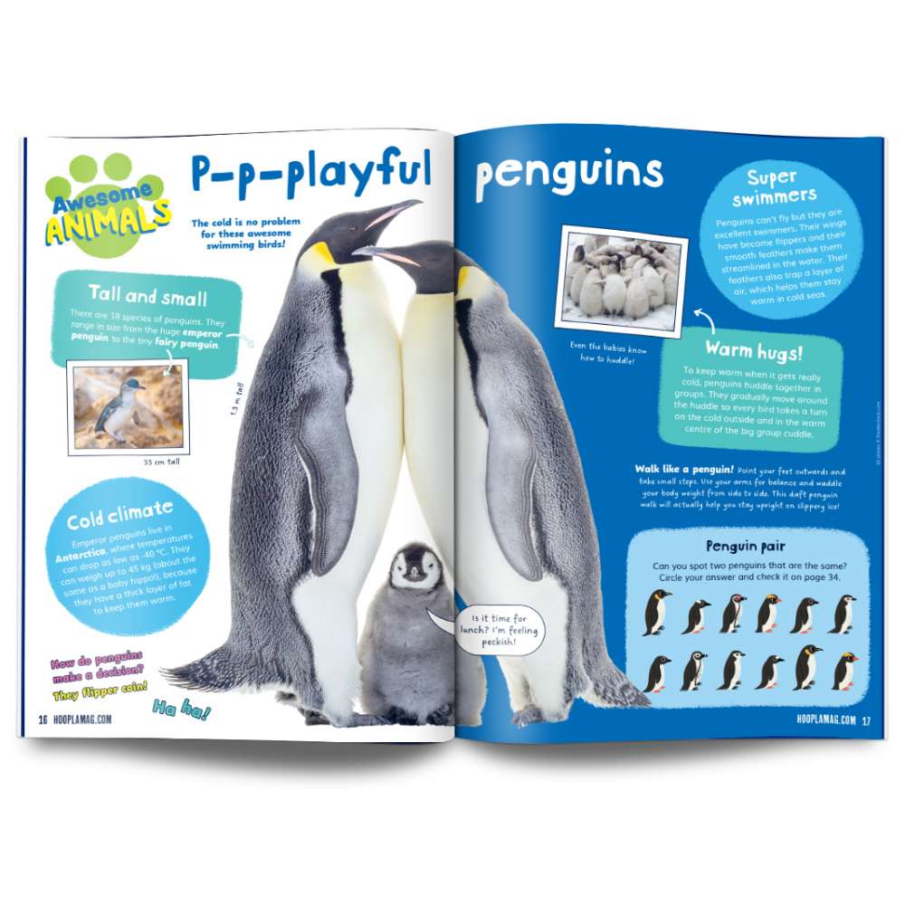 Hoopla Issue 18: WINTER WARMERS image 4