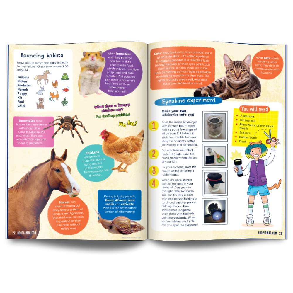 Hoopla Issue 21: PLAYFUL PETS image 3