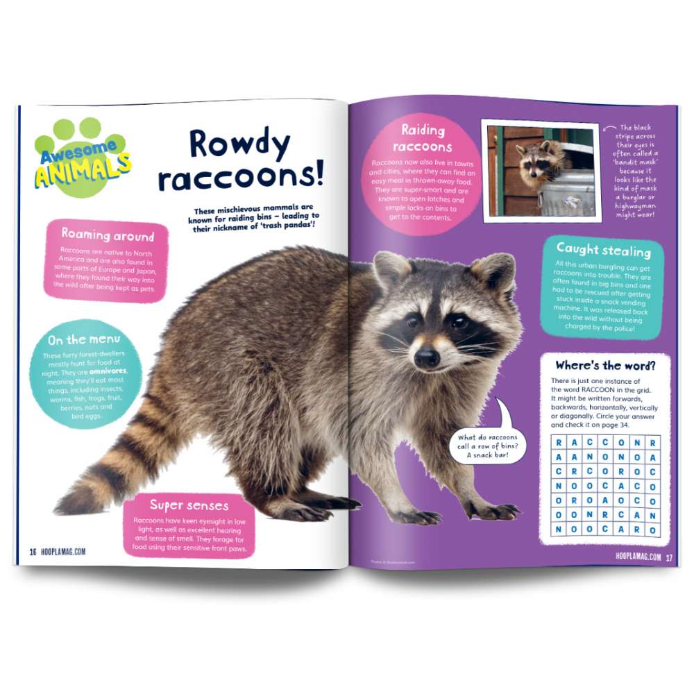 Hoopla Issue 24: WHAT A LOAD OF RUBBISH image 4