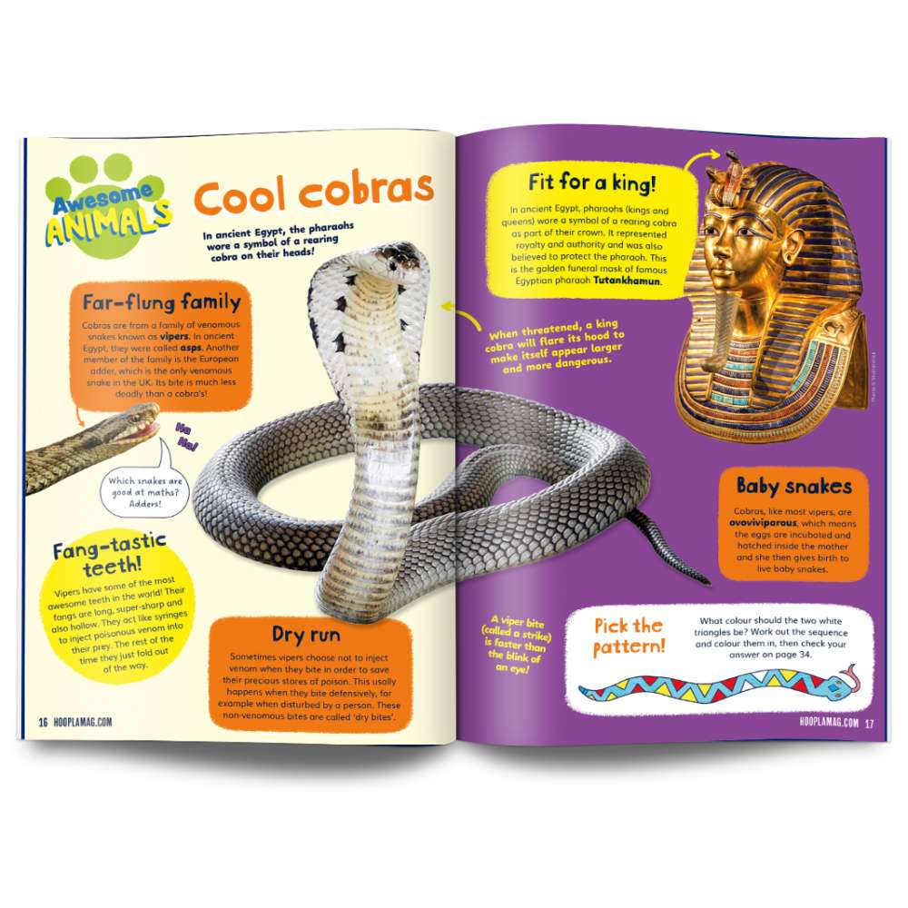 Hoopla Issue 6: ANCIENT EGYPT image 4