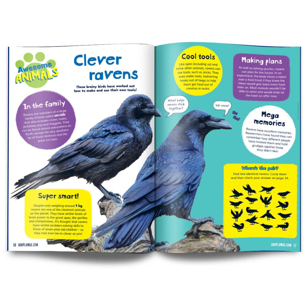 Hoopla Issue 7: MAGNIFICENT MACHINES image 5