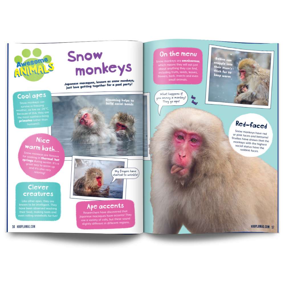 Hoopla Issue 9: JOURNEY TO JAPAN image 5