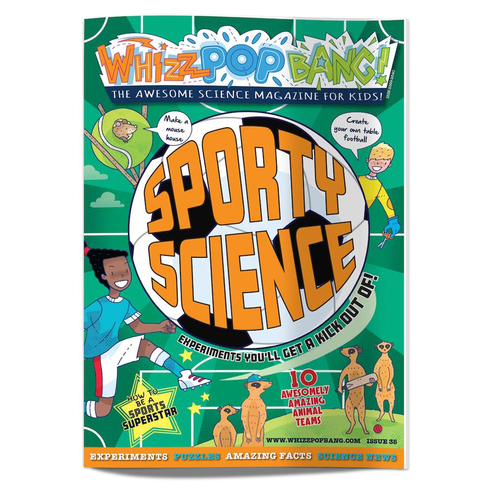 Summer science bundle image 3