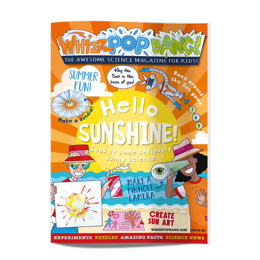Summer science bundle image 4