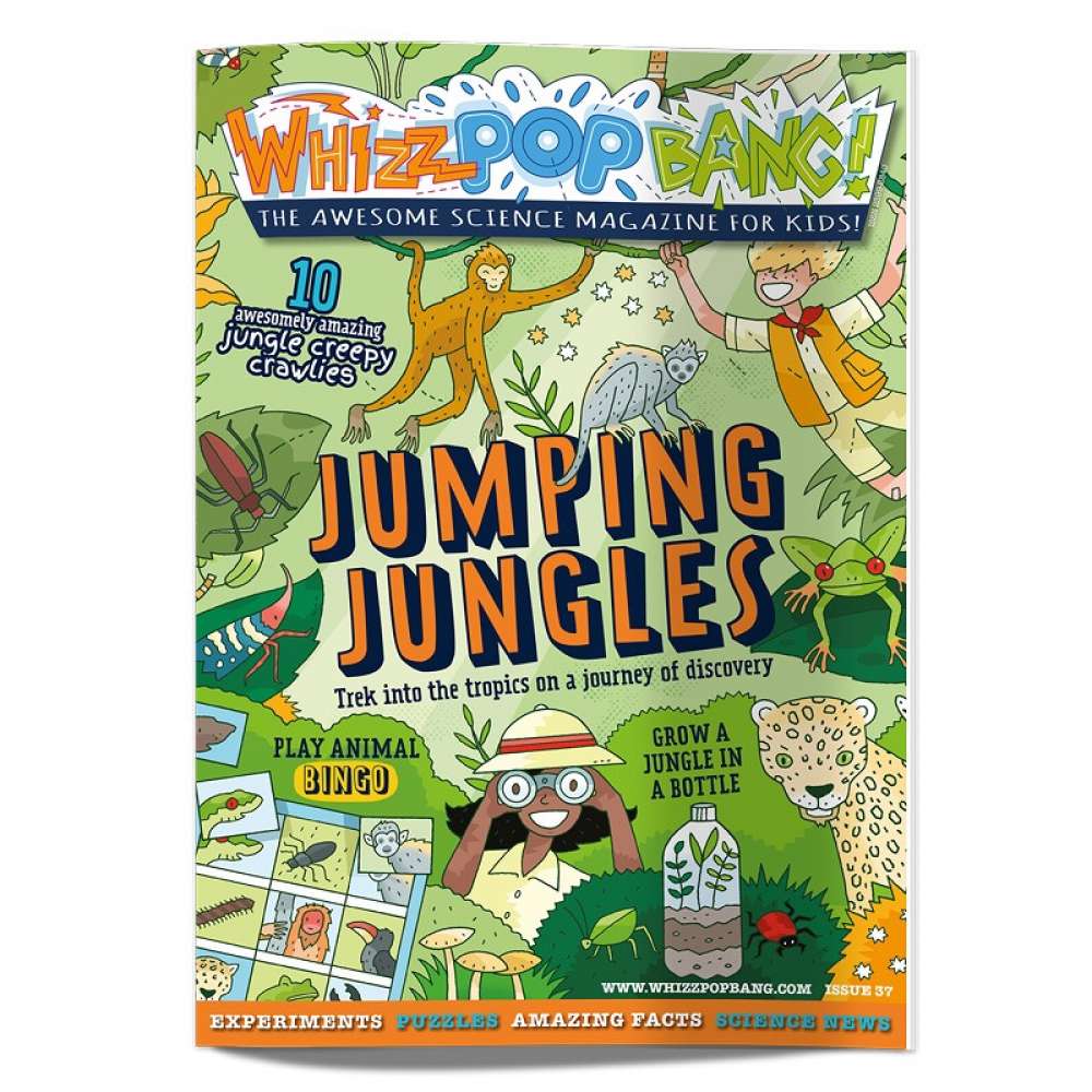 Issue 37 image 1