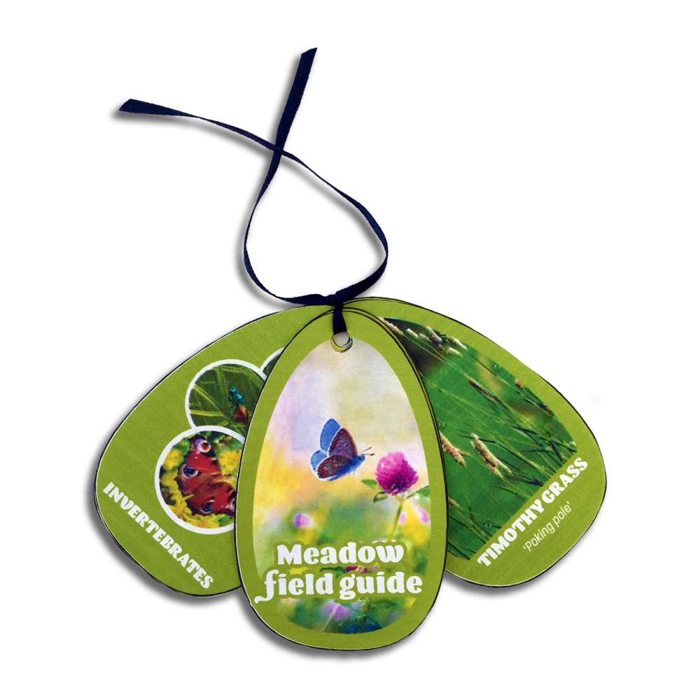 Issue 58 image 5