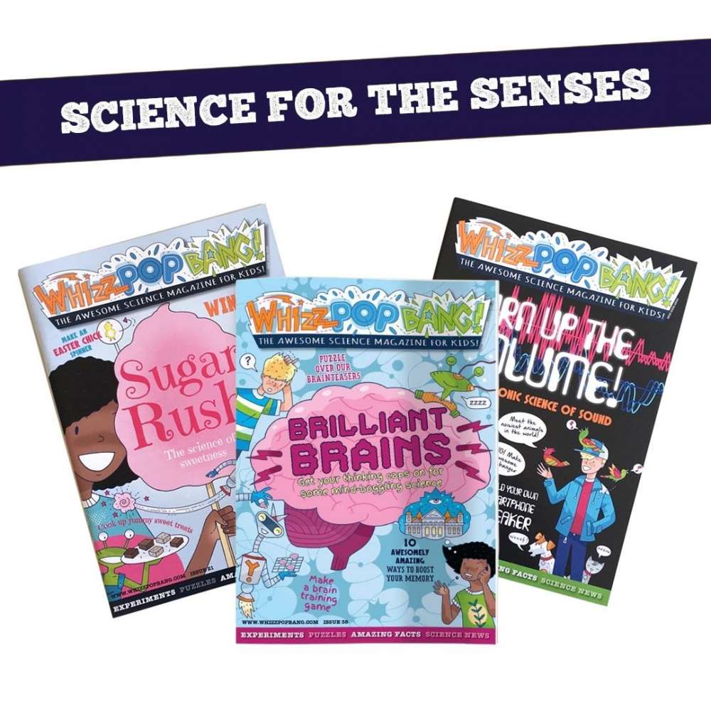 Science for the senses bundle image 1