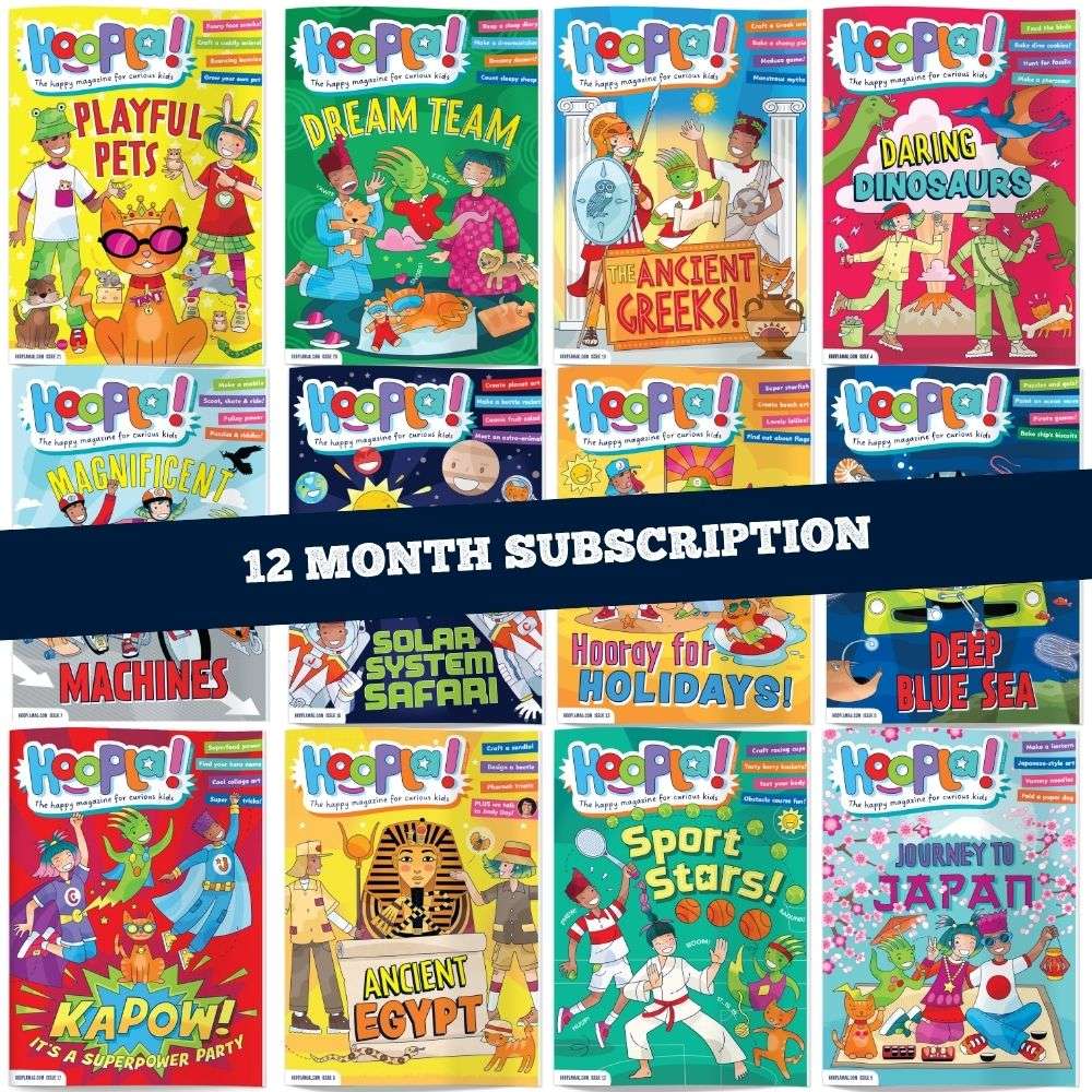 Hoopla 12-month subscription image 1