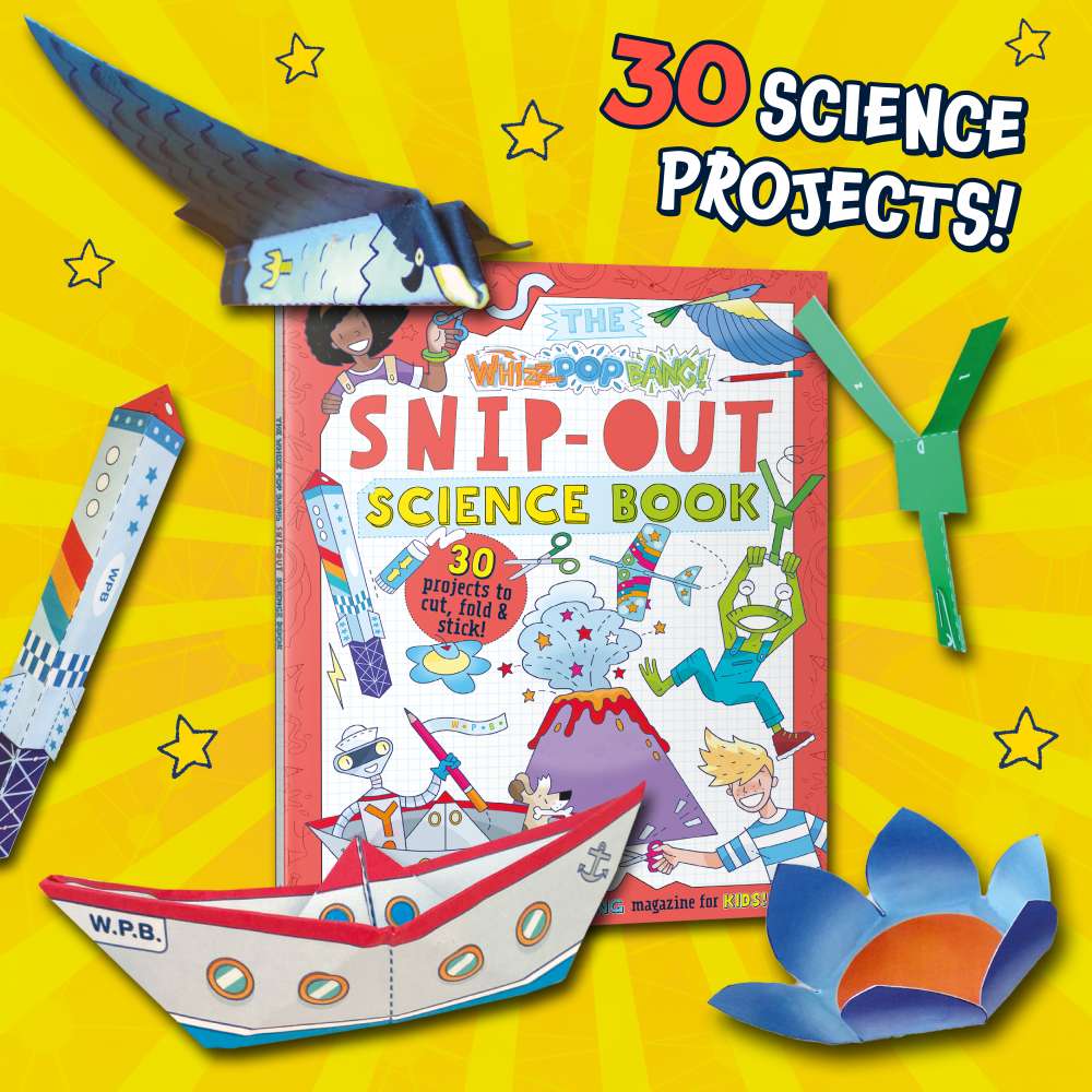 Science Activity Bundle image 2
