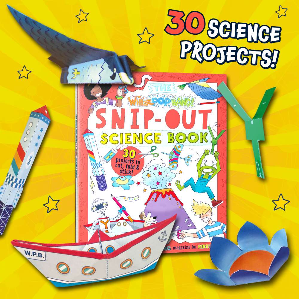 Whizz Pop Bang Snip-Out Science Book image 3