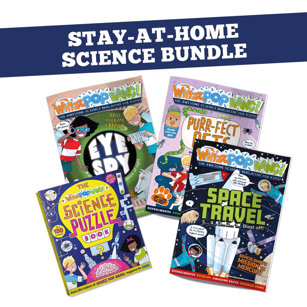 Stay-At-Home Science Bundle image 1