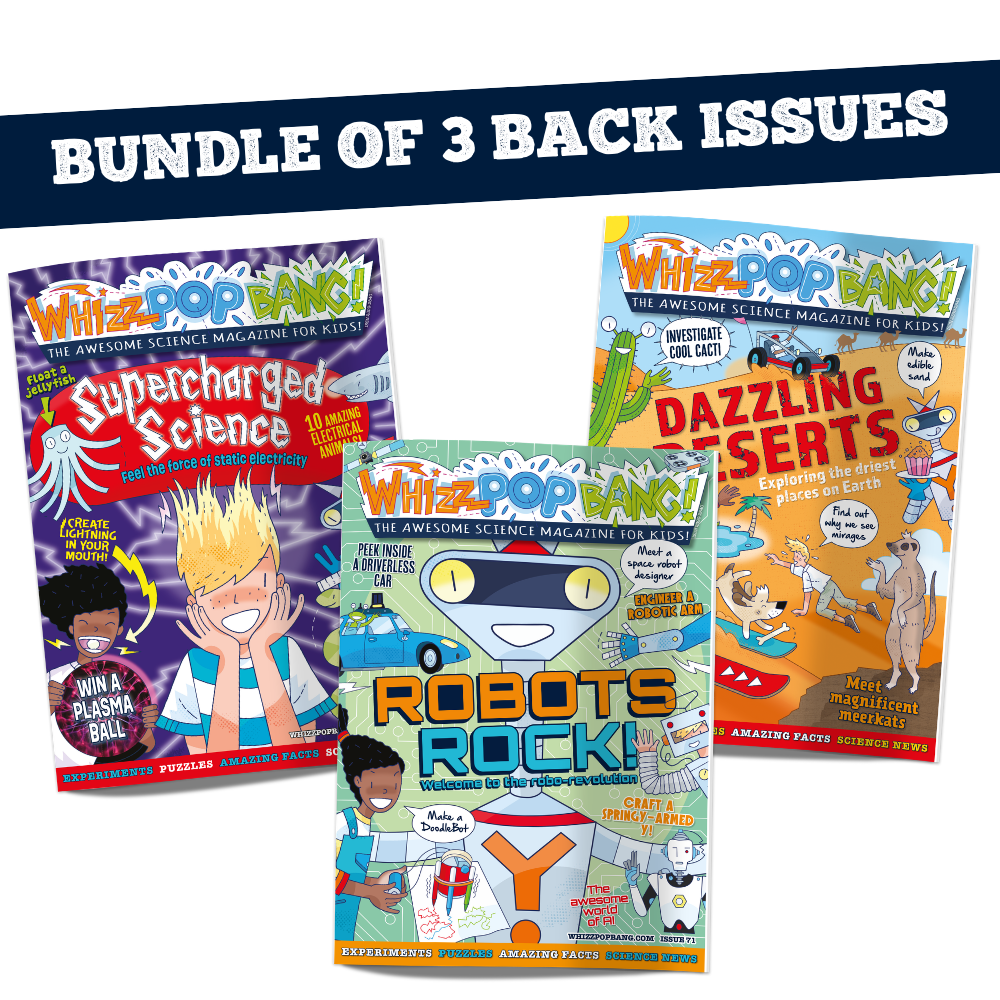 Bundle of 3 back issues image 1