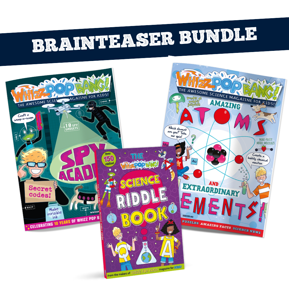 Brainteaser bundle image 1