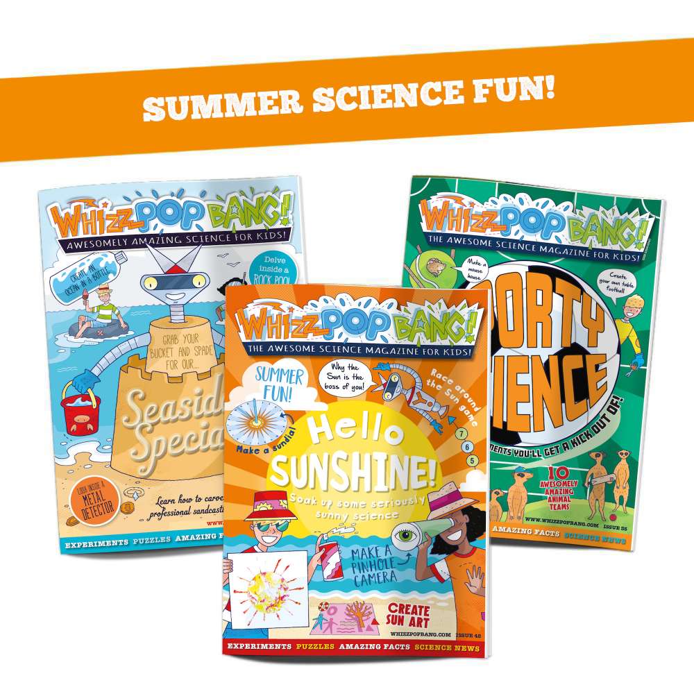 Summer science bundle image 1