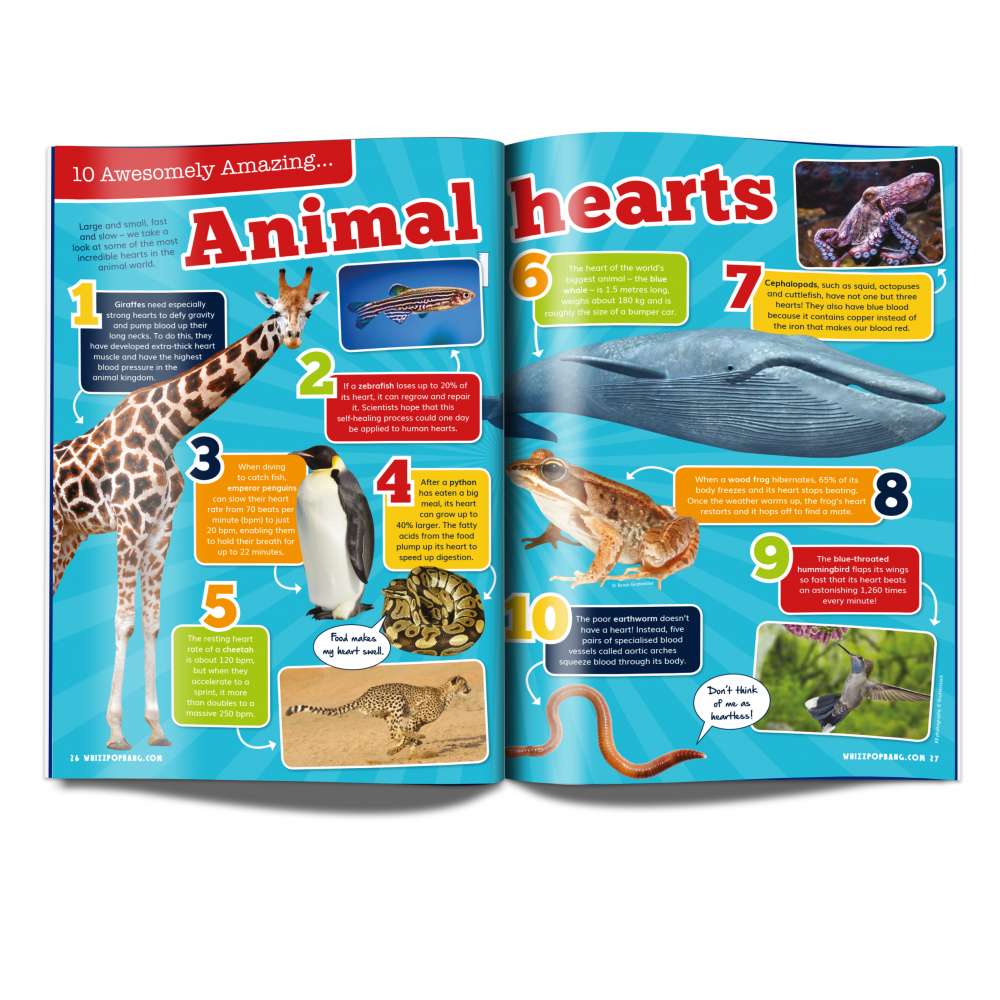 Issue 43 image 4