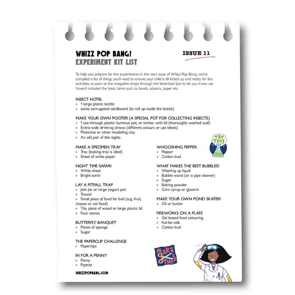 Issue 11 - OUT OF STOCK - do not purchase image 2