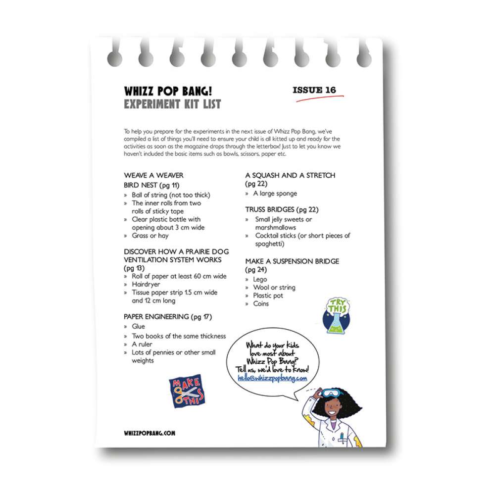 Issue 16 - OUT OF STOCK - do not purchase image 2