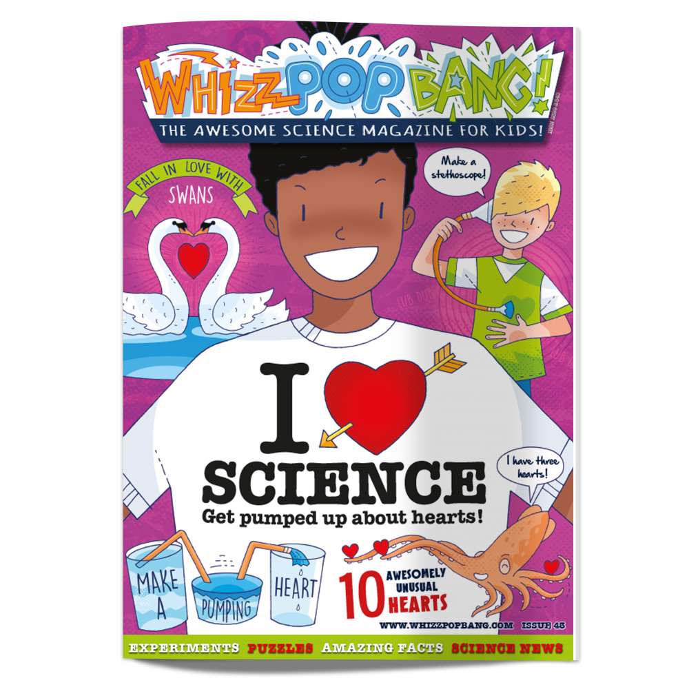 Issue 43 image 1