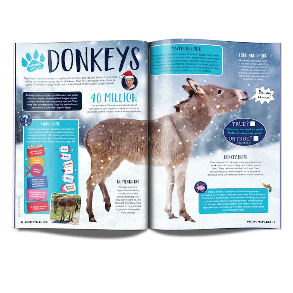 Issue 41 - OUT OF STOCK - do not purchase image 3