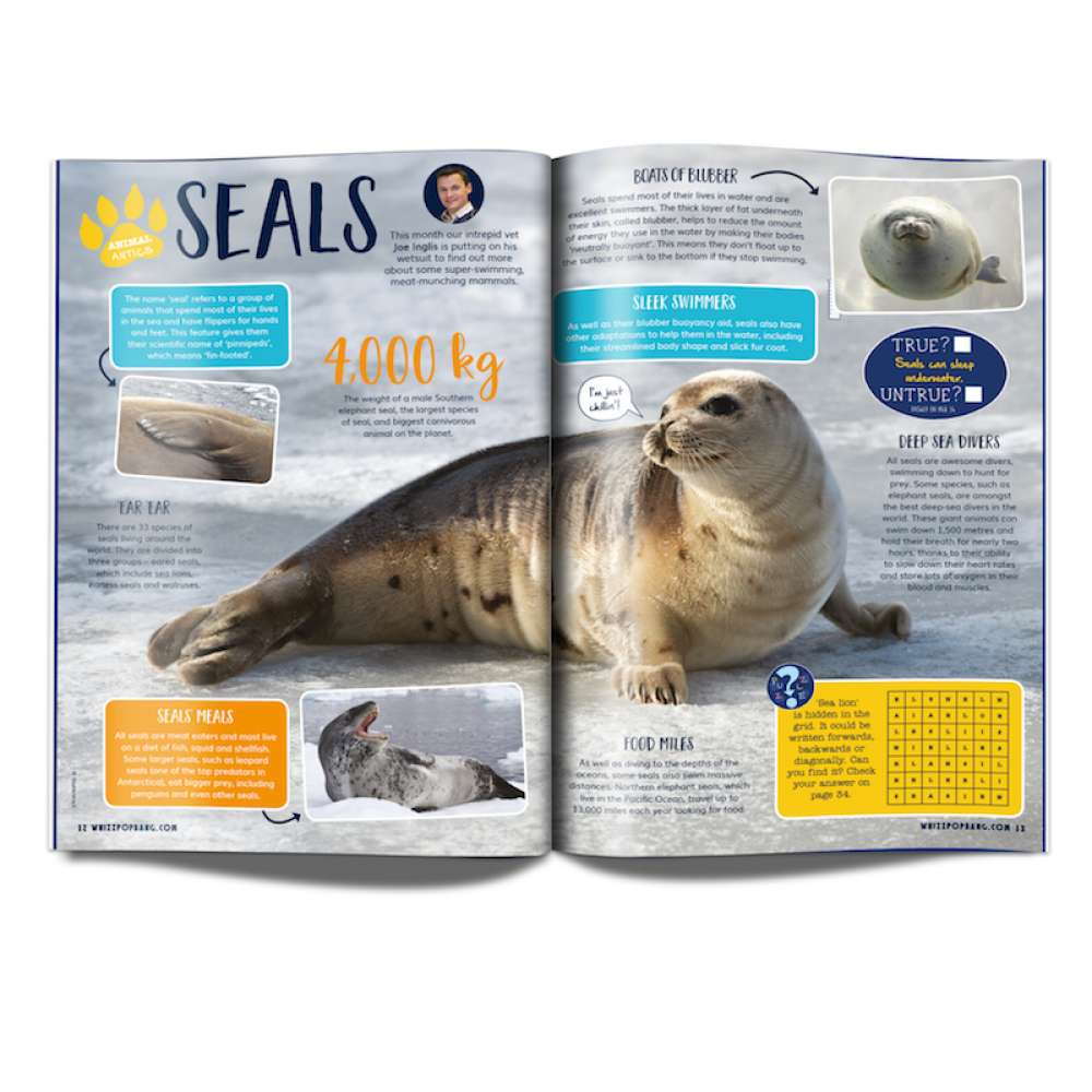 Issue 45 - OUT OF STOCK - do not purchase image 3