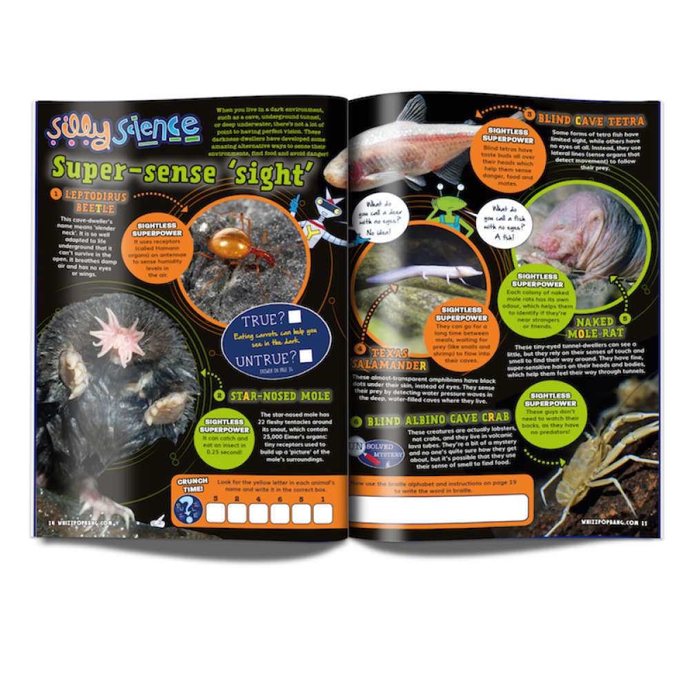 Issue 46 image 3