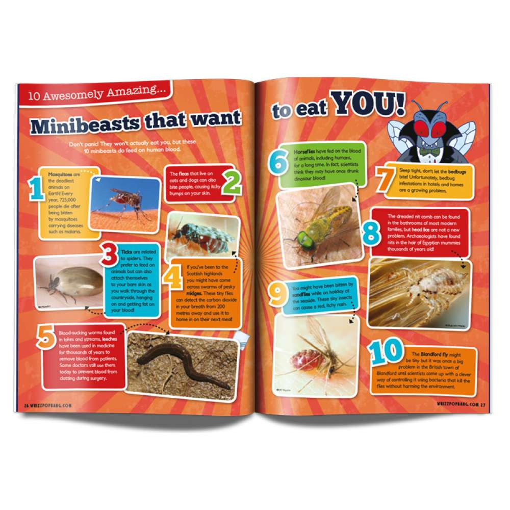 Issue 11 - OUT OF STOCK - do not purchase image 3